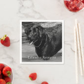 Zwarte Labrador Retriever in het water Servetten (Insitu)