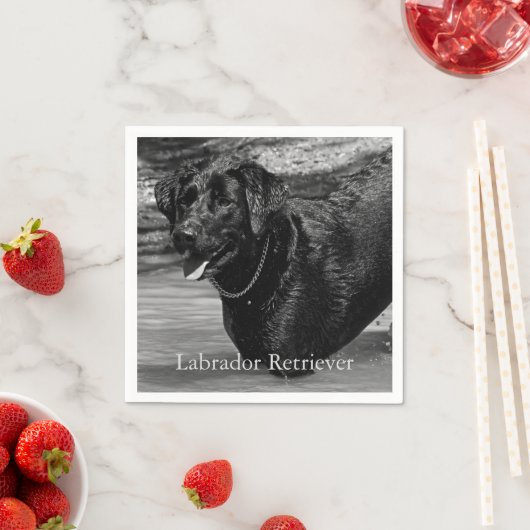 Zwarte Labrador Retriever in het water Servetten (Insitu)