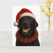Zwarte Labrador Retriever Kerstkaart Kaart (Gele Bloem)