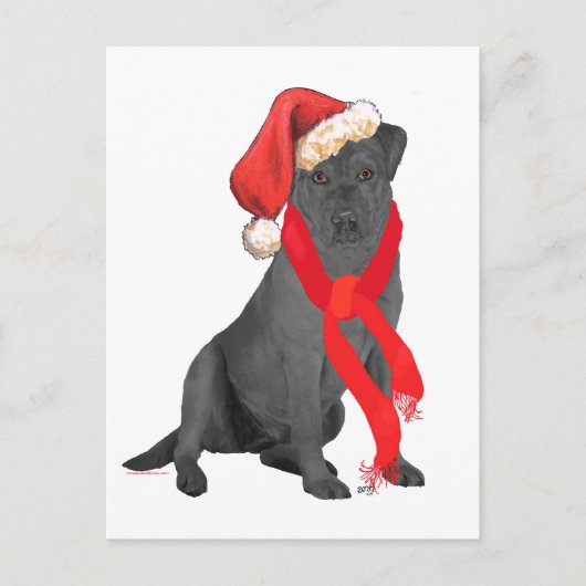 Zwarte Labrador Retriever Kerstmis Feestdagenkaart (Voorkant)