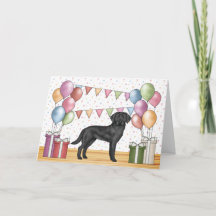 Zwarte Labrador Retriever Lab Hond Kleurrijke Verj
