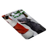 Zwarte Labrador Retriever met Kerstmis Magneet (Rechterzijde)