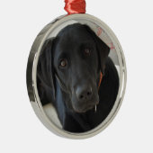  zwarte labrador Retriever Metalen Ornament (Rechts)