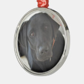  zwarte labrador Retriever Metalen Ornament (Links)