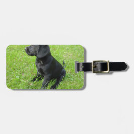 Zwarte Labrador Retriever Op Gras Bagagelabel