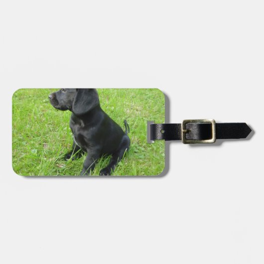 Zwarte Labrador Retriever Op Gras Bagagelabel (Voorkant horizontaal)