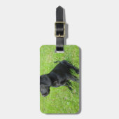 Zwarte Labrador Retriever Op Gras Bagagelabel (Voorkant verticaal)