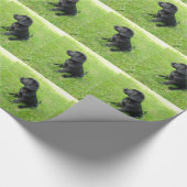 Zwarte Labrador Retriever Op Gras Cadeaupapier (Hoek)