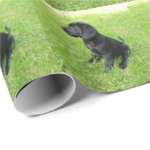 Zwarte Labrador Retriever Op Gras Cadeaupapier (Rol Hoek)