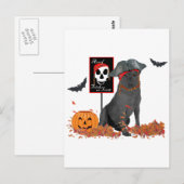 Zwarte Labrador Retriever Piraat Briefkaart (Voorkant / Achterkant)