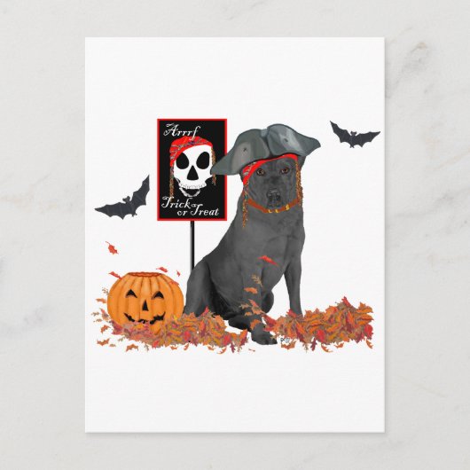 Zwarte Labrador Retriever Piraat Briefkaart (Voorkant)