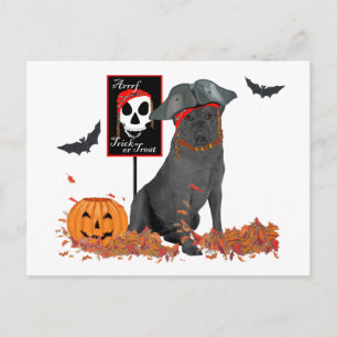 Zwarte Labrador Retriever Piraat Briefkaart