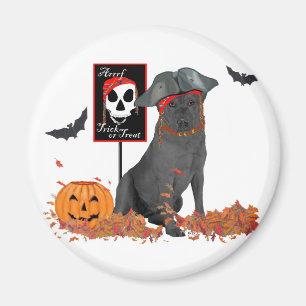 Zwarte Labrador Retriever Piraat Magneet
