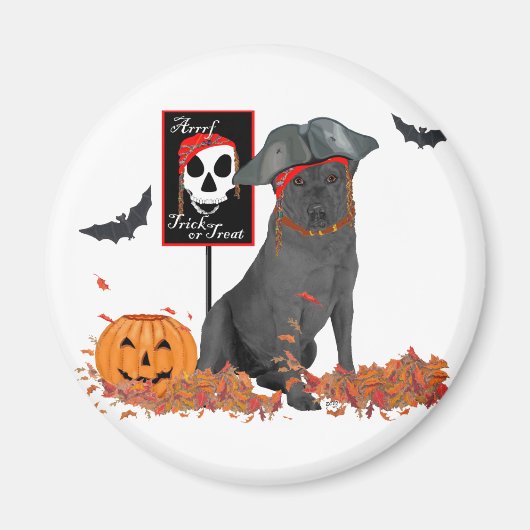Zwarte Labrador Retriever Piraat Magneet (Voorkant)