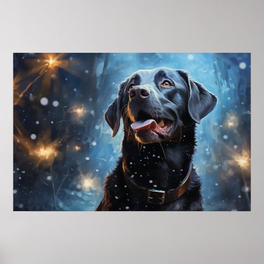 Zwarte Labrador Retriever Poster (Voorkant)