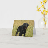 Zwarte Labrador Retriever Puppy Dog Blank Note Kaa Kaart (Gele Bloem)
