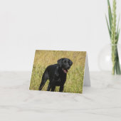 Zwarte Labrador Retriever Puppy Dog Blank Note Kaa Kaart (Voorkant)
