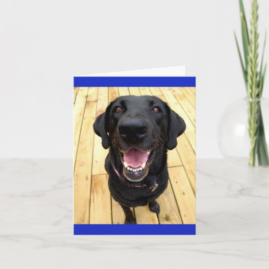 Zwarte Labrador Retriever Puppy Dog Blank Notecard Kaart (Voorkant)