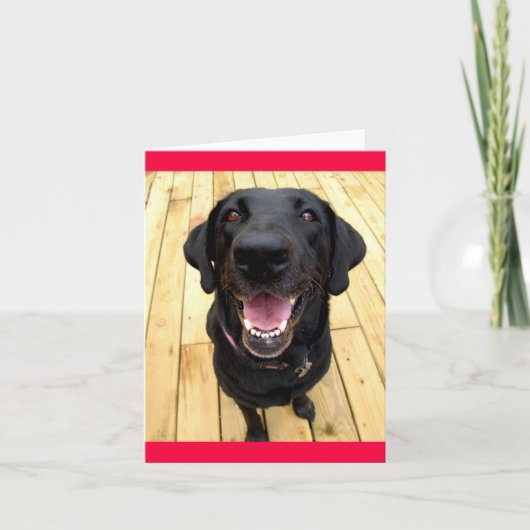 Zwarte Labrador Retriever Puppy Dog Blank Notecard Kaart (Voorkant)