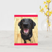 Zwarte Labrador Retriever Puppy Dog Blank Notecard Kaart (Gele Bloem)