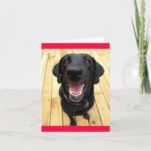 Zwarte Labrador Retriever Puppy Dog Blank Notecard Kaart