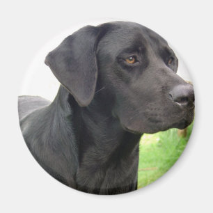 Zwarte Labrador Retriever Ronde Magneet