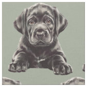 Zwarte Labrador Retriever Stof (Close Up)