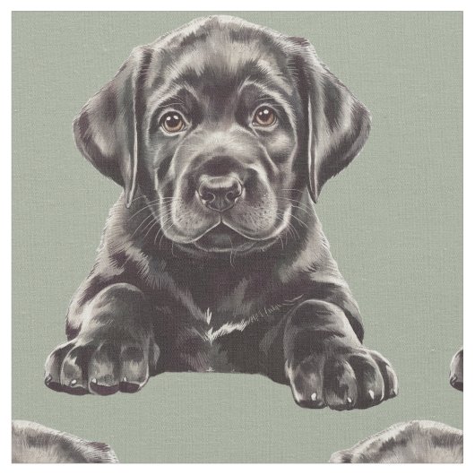 Zwarte Labrador Retriever  Stof (Close Up)