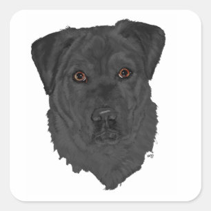 Zwarte Labrador Retriever Vierkante Sticker