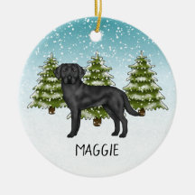 Zwarte Labrador Retriever Winterwoud Aangepaste Na