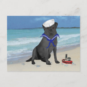 Zwarte Labrador Retriever Zeiler Briefkaart