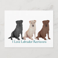 Zwarte Labrador Retriever Zeiler Poster - Op Maat 