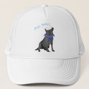 Zwarte Labrador Retriever Zeiler Trucker Pet