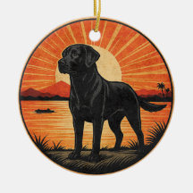 Zwarte Labrador Retriever Zonsondergang Vintage Ho