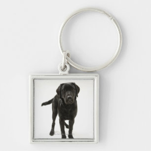 Zwarte labrador sleutelhanger