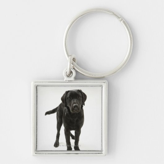 Zwarte labrador sleutelhanger (Voorkant)