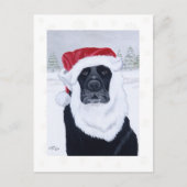 Zwarte Labrador Sneeuwvlokken Kerst Briefkaarten (Voorkant)
