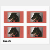 Zwarte labrador Stickers (Vel)