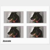Zwarte labrador Stickers (Vel)
