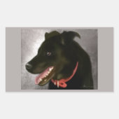 Zwarte labrador Stickers (Voorkant)