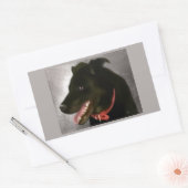 Zwarte labrador Stickers (Envelop)