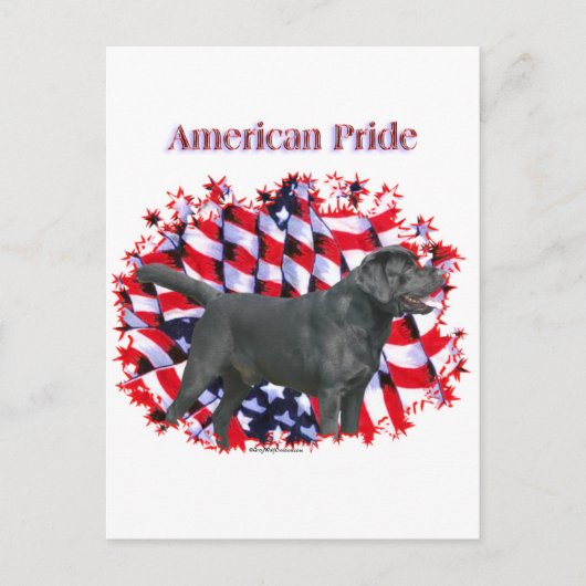 Zwarte labrador trots briefkaart (Voorkant)