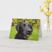 Zwarte labrador verjaardagskaart kaart (Gele Bloem)
