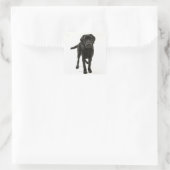 Zwarte labrador vierkante sticker (Tas)