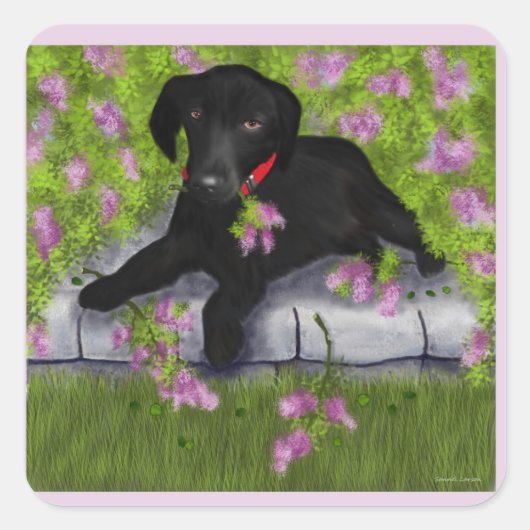 Zwarte labrador, vierkante sticker (Voorkant)