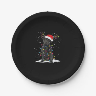 Zwarte Labrador Xmas Hond Kerstboom Lichtklasse Papieren Bordje