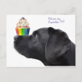 Zwarte Labrador - Zei je Cupcakes - Hond Liefhebbe Briefkaart (Voorkant)