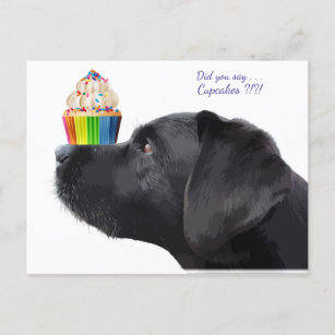 Zwarte labrador - Zei je cupcakes - Hondenliefhebb Briefkaart