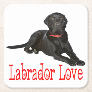Zwarte Labradores Retriever Puppy Hond Rode Liefde Kartonnen Onderzetters
