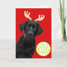 Zwarte Labradors hond huisdierKerstmis Tennisbal G
